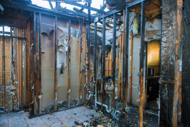Professional Fire Damage Assessment technician working in Redmond, WA
