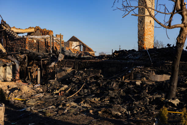 Reliable Fire Damage Assessment contractor in Redmond, WA by Fire Damage Doption
